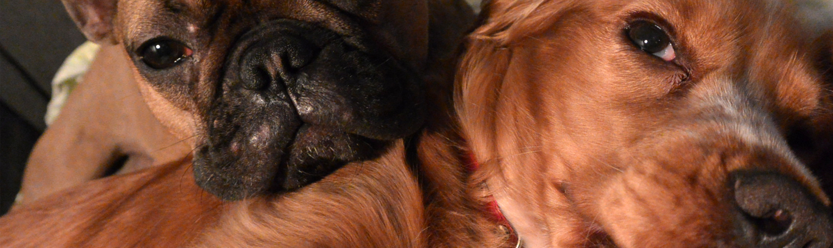 img01